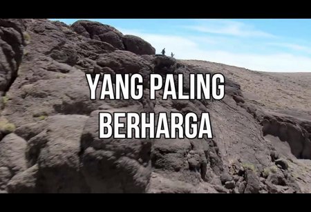 Yang Paling Berharga